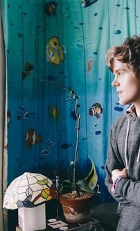 Foto de Foxes In Fiction