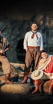 Foto de Grupo Som do Sul