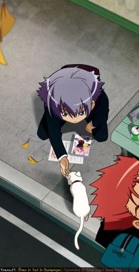 Foto de Baka To Test To Shoukanjuu