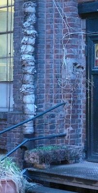 Foto de The Futureheads