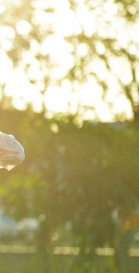 Foto de Lucas Alves e Expedita