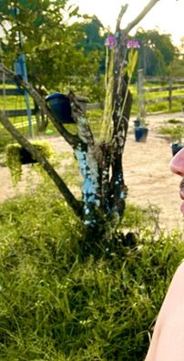 Foto de Neylton Bryto