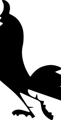 Foto de Treze Futebol Clube