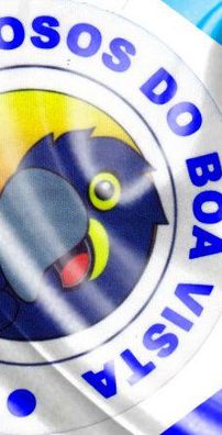 Foto de G.R.E.S.V Caprichosos do Boa Vista