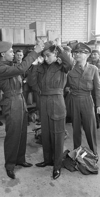 Foto de Blue Diamonds