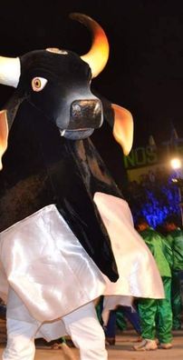 Foto de Boi Malhadinho