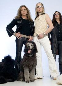 Foto de The Poodles