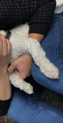 Foto de Camilo Cuervo