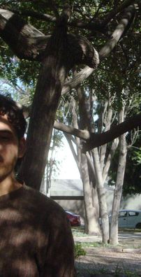 Foto de Martin Es Un Hombre