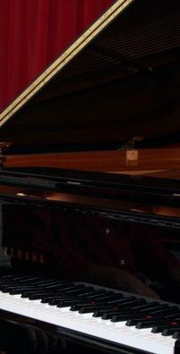 Foto de Luciano Alves e Bettina Graziani