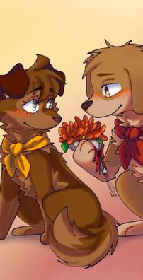 Foto de Steban Retriever