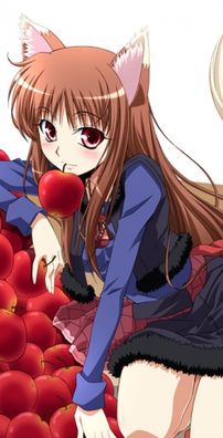 Foto de Spice And Wolf (anime)