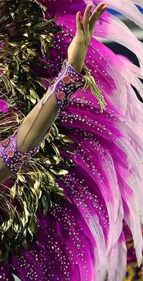 Foto de G.R.C.E.S. Mocidade Alegre