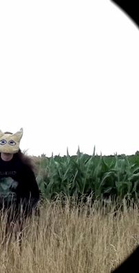 Foto de my head is empty