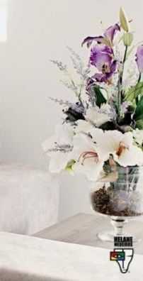 Foto de Gatinha Manhosa