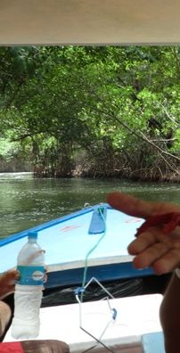 Foto de Jamilson Correa