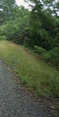 Foto de Sparklehorse