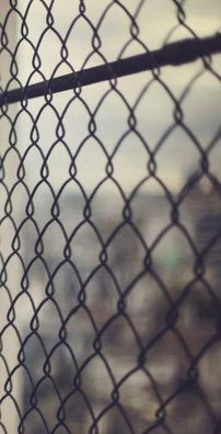 Foto de Leo Stannard