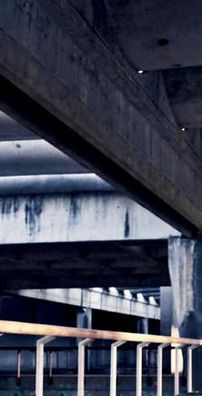 Foto de Violet Overload