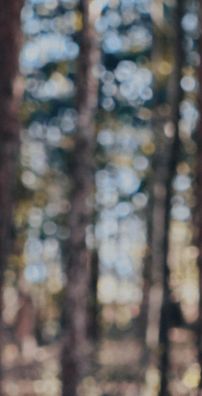 Foto de Banda Petras