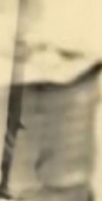 Foto de Maurício Tapajós