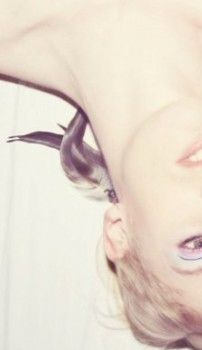 Foto de Lilla Sällskapet