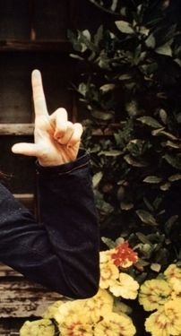 Foto de Shiina Ringo