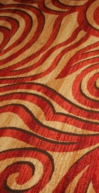 Foto de Sophia del Carmen