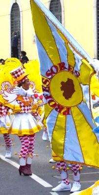 Foto de Professores (Samba-Enredo)