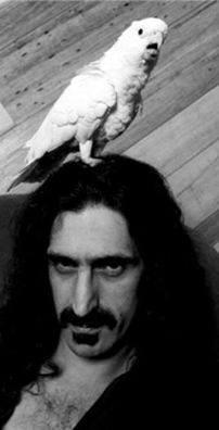 Foto de Frank Zappa