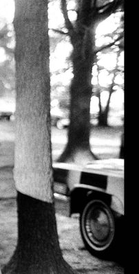 Foto de Anita Carter