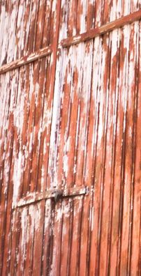 Foto de Pr. Alexandre Augusto