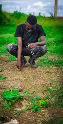 Foto de Tha Ibra Bill