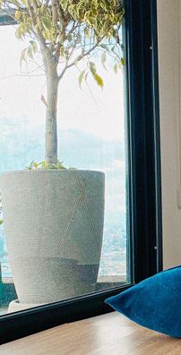 Foto de Sebastian Silva