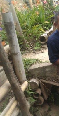 Foto de Marco Antonio Hurtado