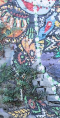 Foto de Kiko Vanucci