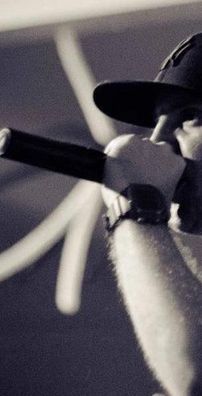 Foto de Lex Skate Rock