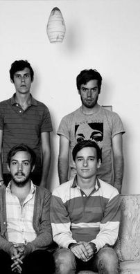 Foto de Wild Nothing