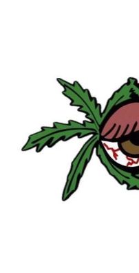 Foto de Viejas Locas