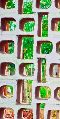 Foto de Chris Fernandes