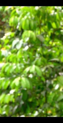 Foto de Flávia Cristinne