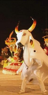 Foto de Boi Flor do Campo