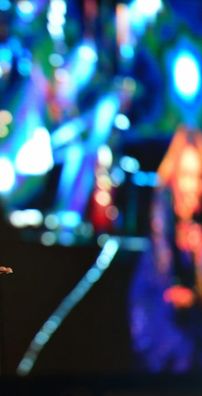 Foto de Andréa Fontes