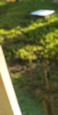 Foto de Adonis Tavares