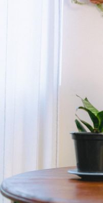 Foto de EDUARDO KACZAN