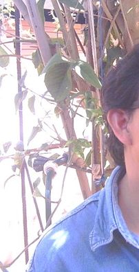 Foto de Marçal Novacidade