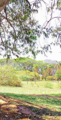 Foto de Enio Jr & Matheus