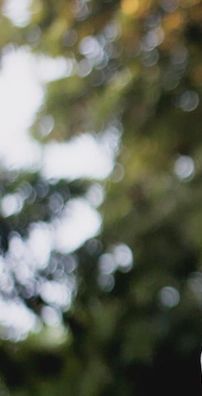 Foto de Samuel Almeida