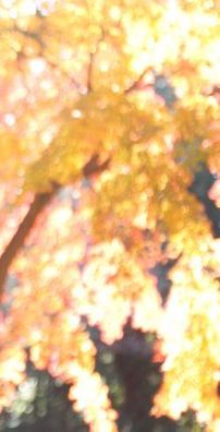 Foto de Maika Shiratori