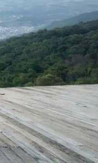 Foto de Walgme Moura'